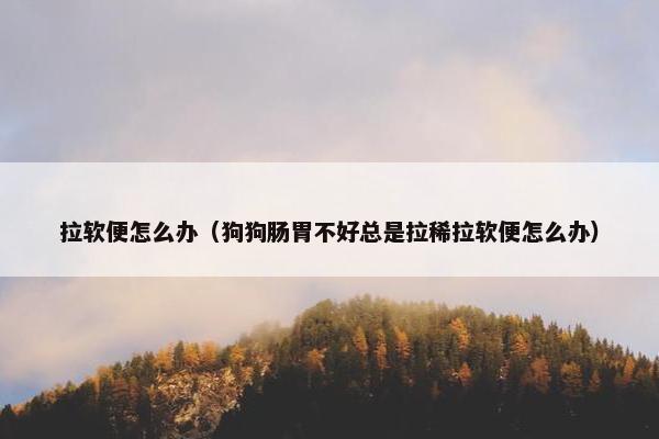 拉软便怎么办（狗狗肠胃不好总是拉稀拉软便怎么办）