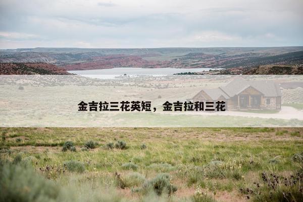 金吉拉三花英短，金吉拉和三花