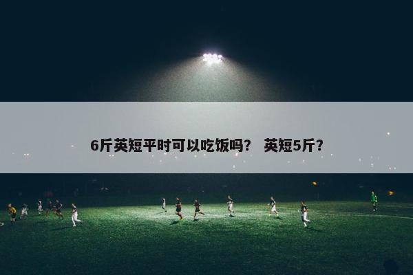 6斤英短平时可以吃饭吗？ 英短5斤？