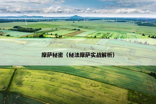 摩萨秘密（秘法摩萨实战解析）