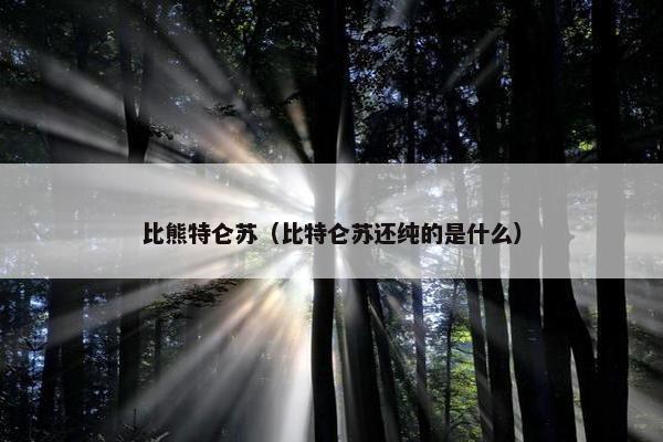 比熊特仑苏（比特仑苏还纯的是什么）