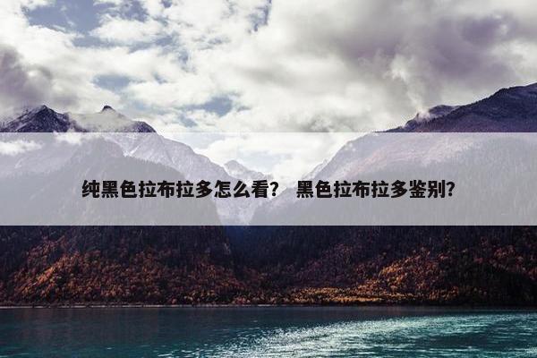 纯黑色拉布拉多怎么看？ 黑色拉布拉多鉴别？