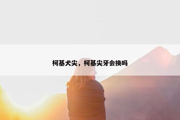 柯基犬尖,柯基尖牙会换吗