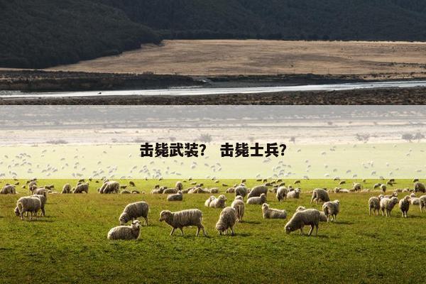 击毙武装？ 击毙士兵？