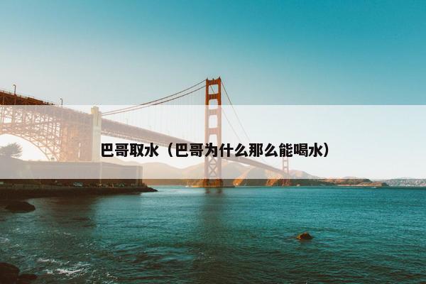 巴哥取水（巴哥为什么那么能喝水）