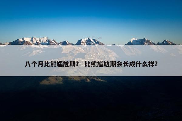 八个月比熊尴尬期? 比熊尴尬期会长成什么样?
