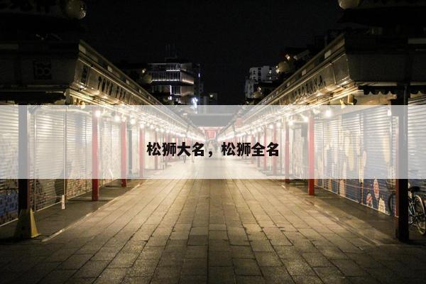 松狮大名,松狮全名
