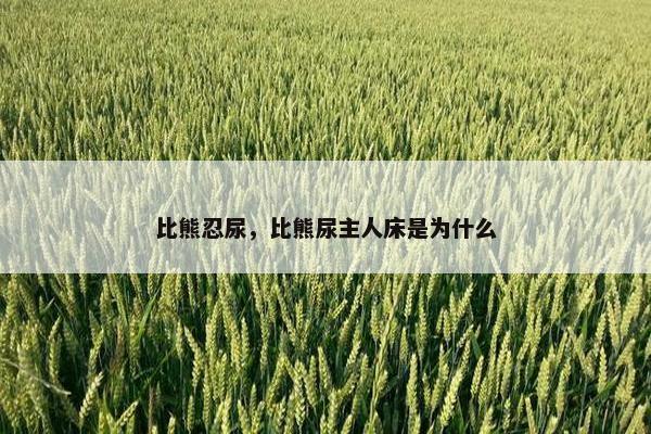 比熊忍尿，比熊尿主人床是为什么