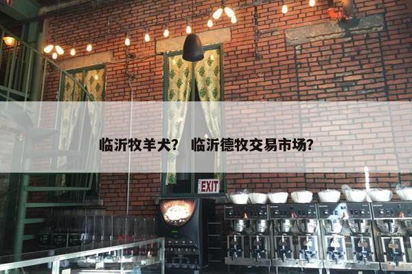 临沂牧羊犬？ 临沂德牧交易市场？