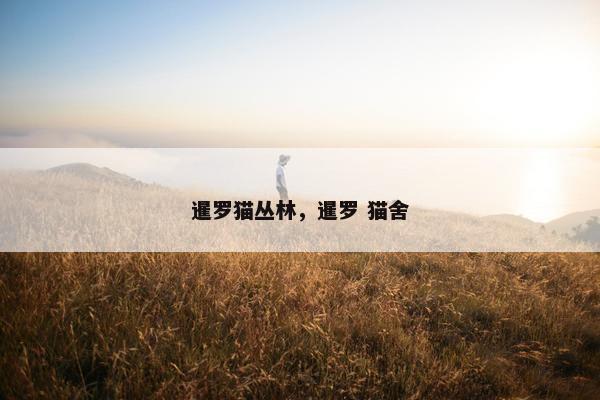 暹罗猫丛林，暹罗 猫舍