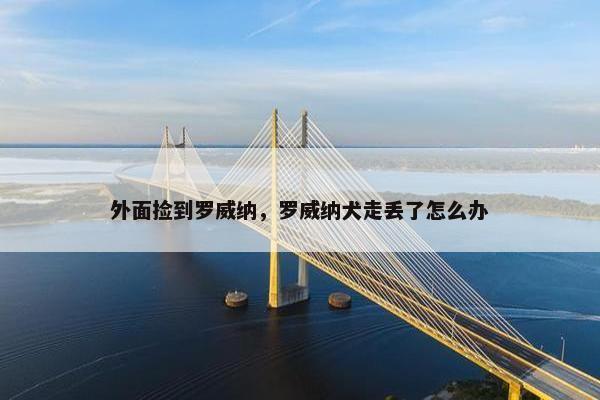 外面捡到罗威纳,罗威纳犬走丢了怎么办