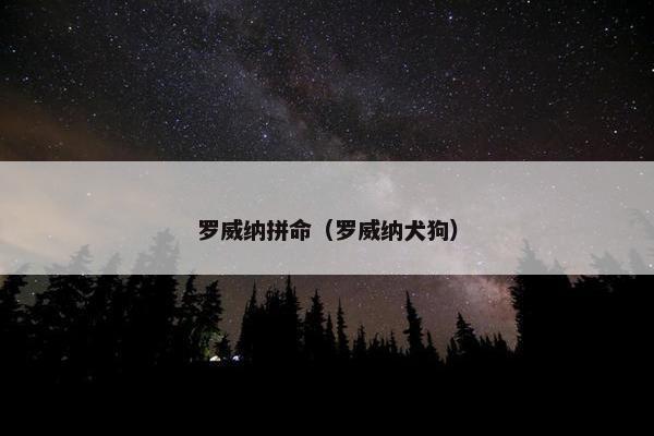 罗威纳拼命(罗威纳犬狗)