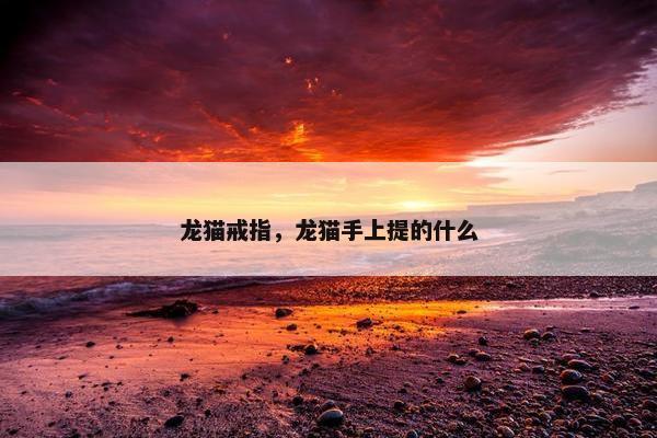 龙猫戒指，龙猫手上提的什么