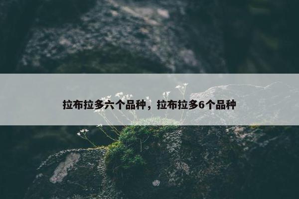 拉布拉多六个品种，拉布拉多6个品种