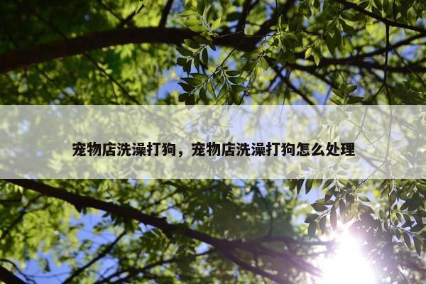 宠物店洗澡打狗,宠物店洗澡打狗怎么处理