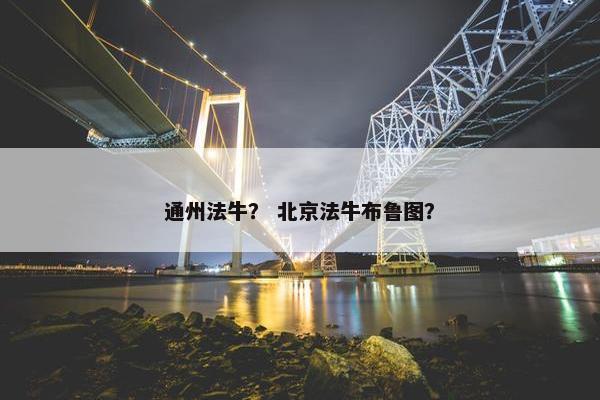 通州法牛？ 北京法牛布鲁图？
