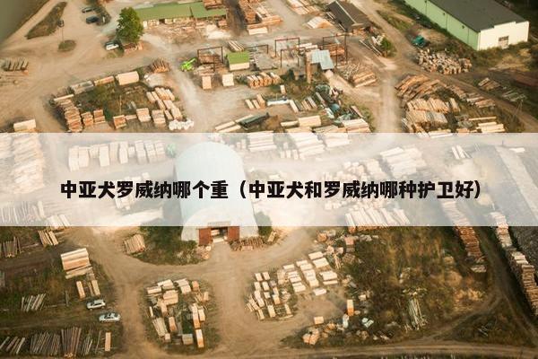 中亚犬罗威纳哪个重(中亚犬和罗威纳哪种护卫好)