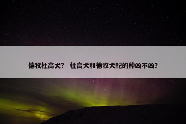 德牧杜高犬？ 杜高犬和德牧犬配的种凶不凶？
