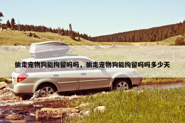 偷走宠物狗能拘留吗吗，偷走宠物狗能拘留吗吗多少天