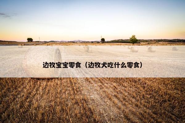 边牧宝宝零食（边牧犬吃什么零食）