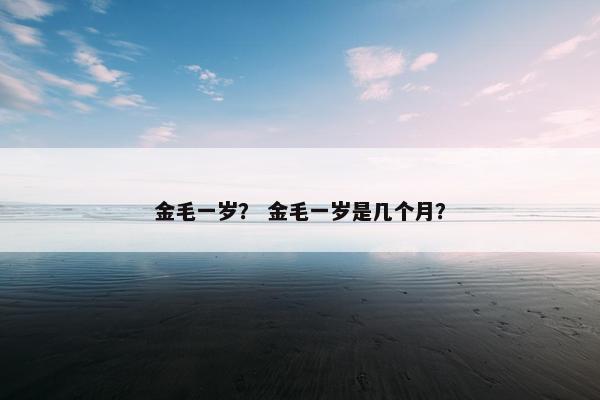 金毛一岁？ 金毛一岁是几个月？