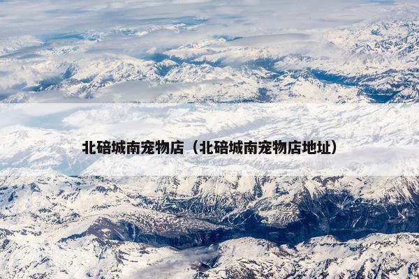 北碚城南宠物店(北碚城南宠物店地址)