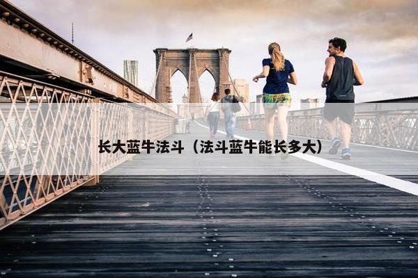 长大蓝牛法斗(法斗蓝牛能长多大)