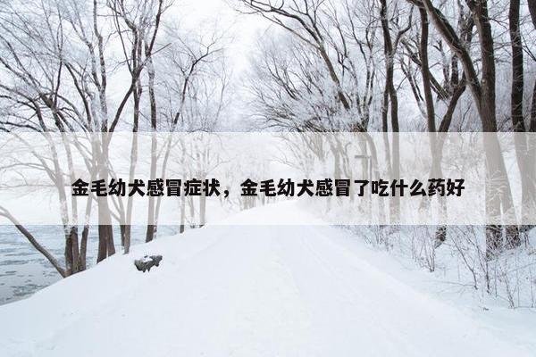 金毛幼犬感冒症状,金毛幼犬感冒了吃什么药好