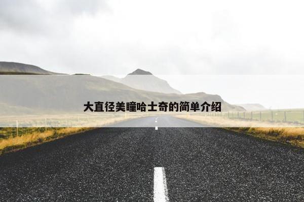 大直径美瞳哈士奇的简单介绍