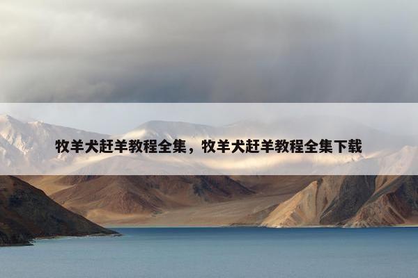 牧羊犬赶羊教程全集，牧羊犬赶羊教程全集下载