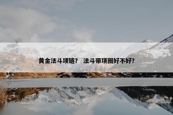 黄金法斗项链？ 法斗带项圈好不好？