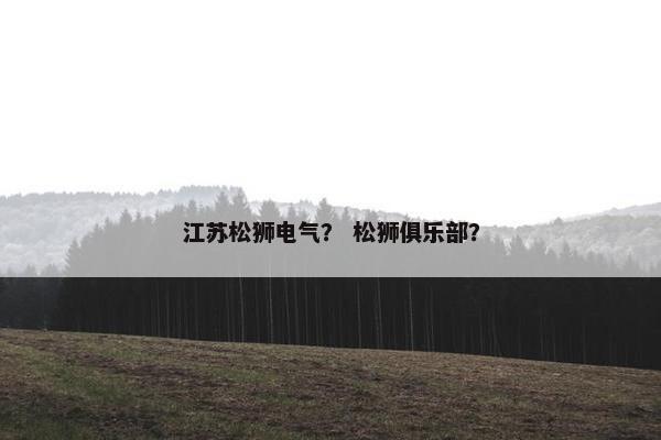 江苏松狮电气？ 松狮俱乐部？