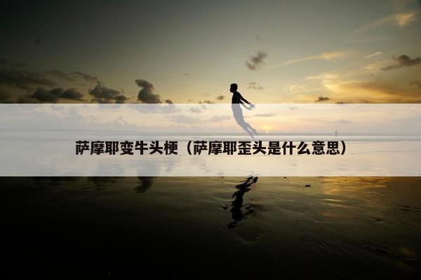萨摩耶变牛头梗（萨摩耶歪头是什么意思）