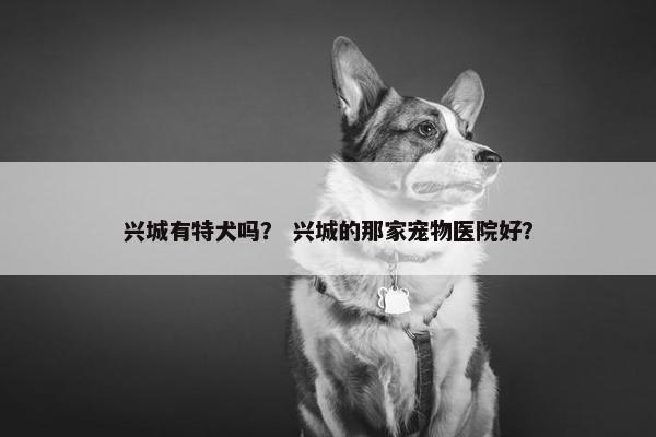 兴城有特犬吗? 兴城的那家宠物医院好?