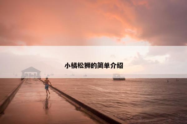 小橘松狮的简单介绍