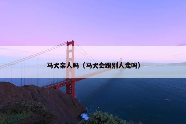 马犬亲人吗（马犬会跟别人走吗）