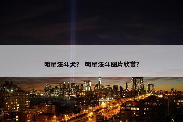 明星法斗犬？ 明星法斗图片欣赏？