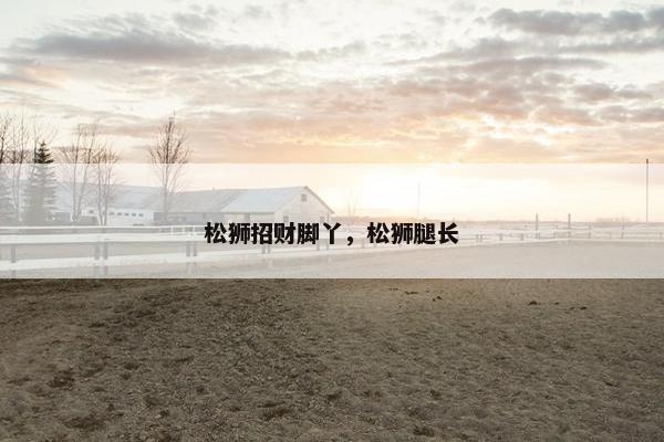 松狮招财脚丫，松狮腿长