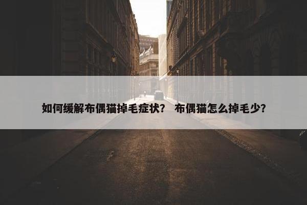 如何缓解布偶猫掉毛症状？ 布偶猫怎么掉毛少？