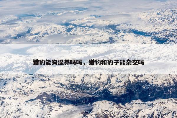 猎豹能狗混养吗吗，猎豹和豹子能杂交吗