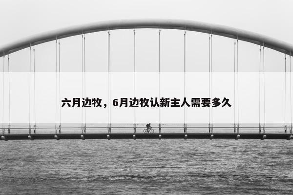 六月边牧,6月边牧认新主人需要多久 六月边牧,6月边牧认新主人需要多久