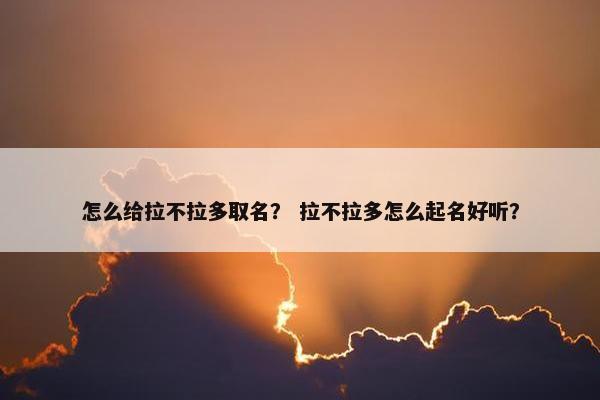 怎么给拉不拉多取名？ 拉不拉多怎么起名好听？