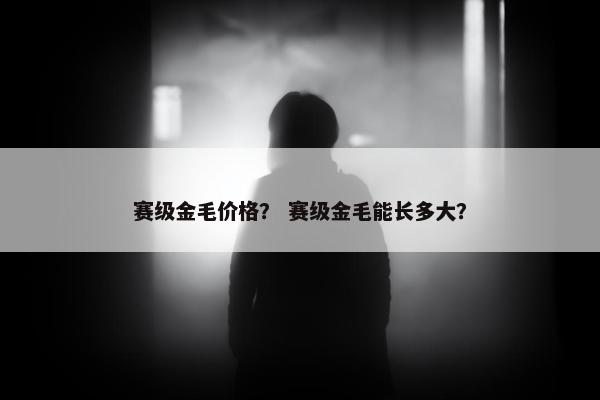 赛级金毛价格？ 赛级金毛能长多大？