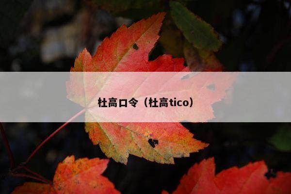 杜高口令（杜高tico）