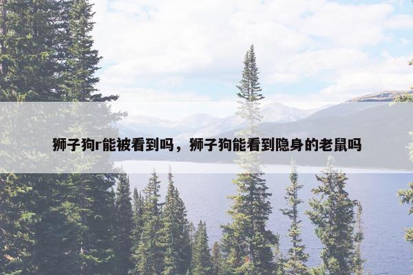 狮子狗r能被看到吗,狮子狗能看到隐身的老鼠吗