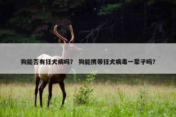 狗能否有狂犬病吗? 狗能携带狂犬病毒一辈子吗? 狗能否有狂犬病吗? 狗能携带狂犬病毒一辈子吗?