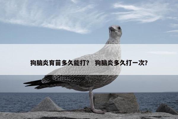 狗脑炎育苗多久能打? 狗脑炎多久打一次?