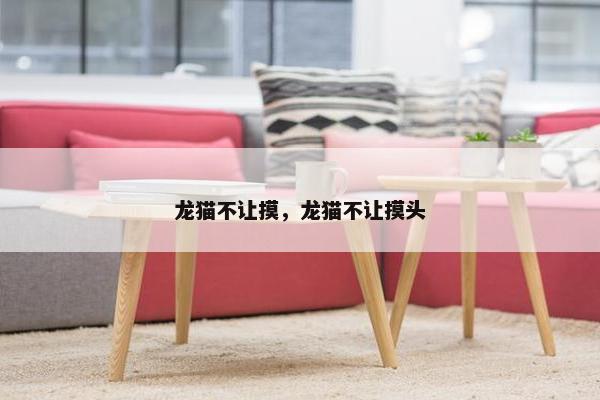龙猫不让摸，龙猫不让摸头