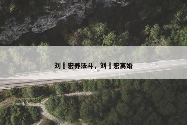 刘畊宏养法斗，刘畊宏离婚