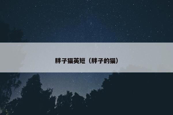 胖子猫英短（胖子的猫）